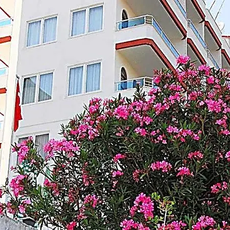 酒店 皇家酒店 阿拉尼亚