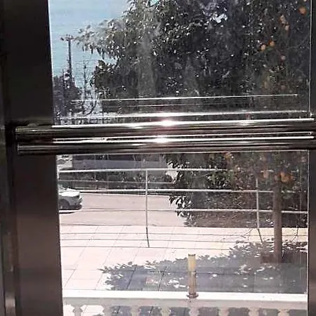 酒店 皇家酒店 阿拉尼亚