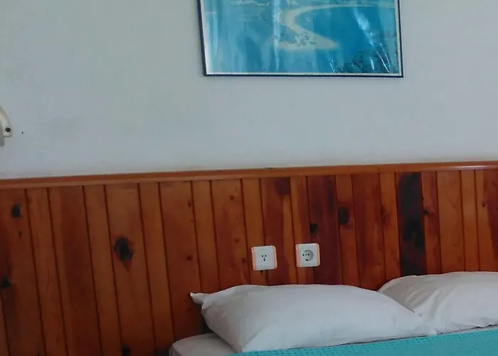 皇家酒店 酒店 阿拉尼亚